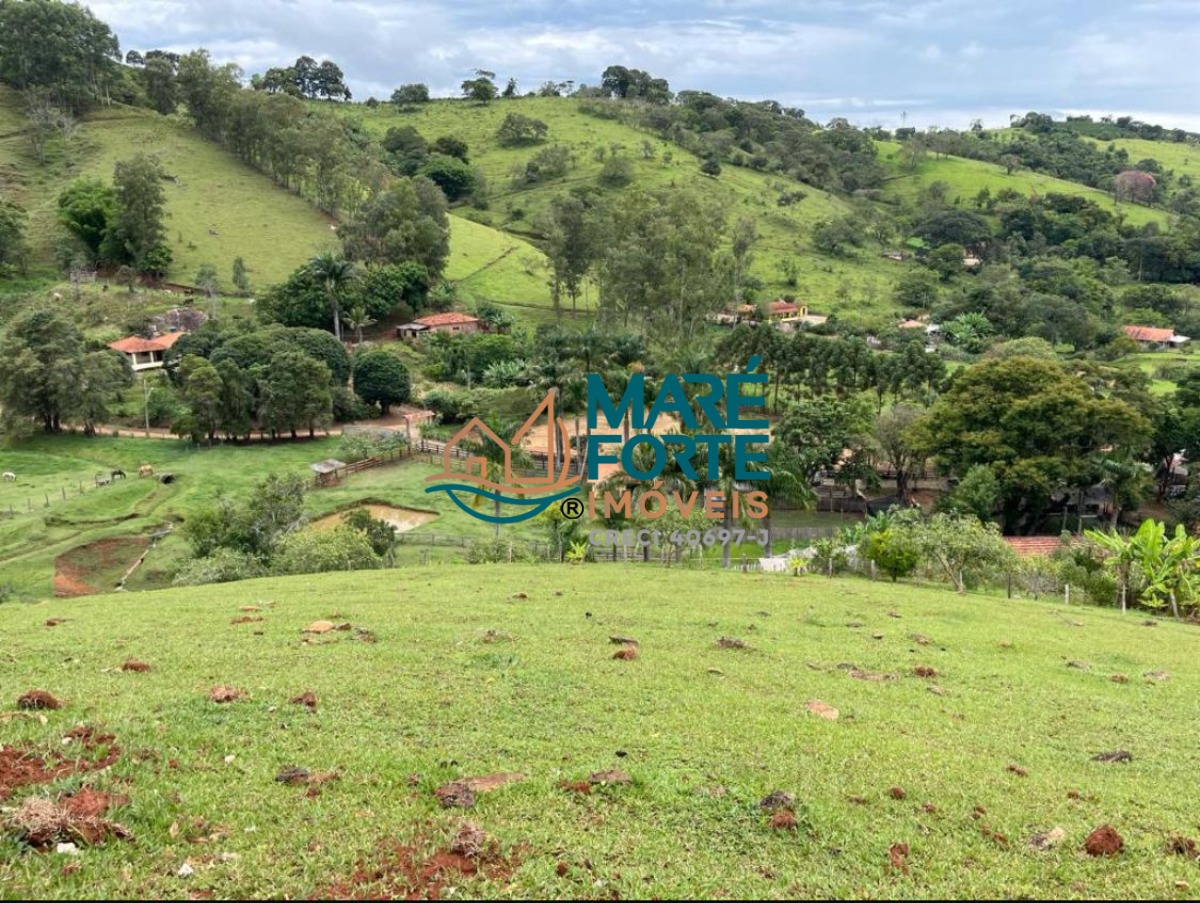 Fazenda à venda com 5 quartos, 56m² - Foto 16